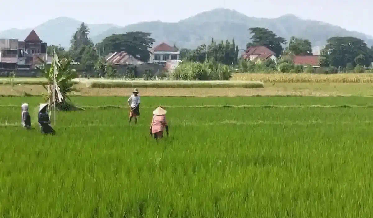 Prospek Ekonomi Dan Optimisme Triwulan Berikutnya  