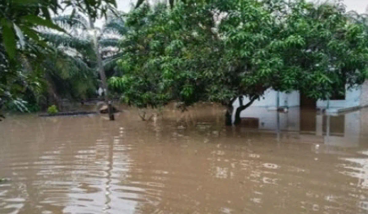  Dampak Terhadap Aktivitas Masyarakat 