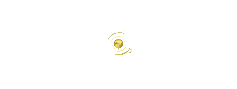 TEMPOTOTO LOGO