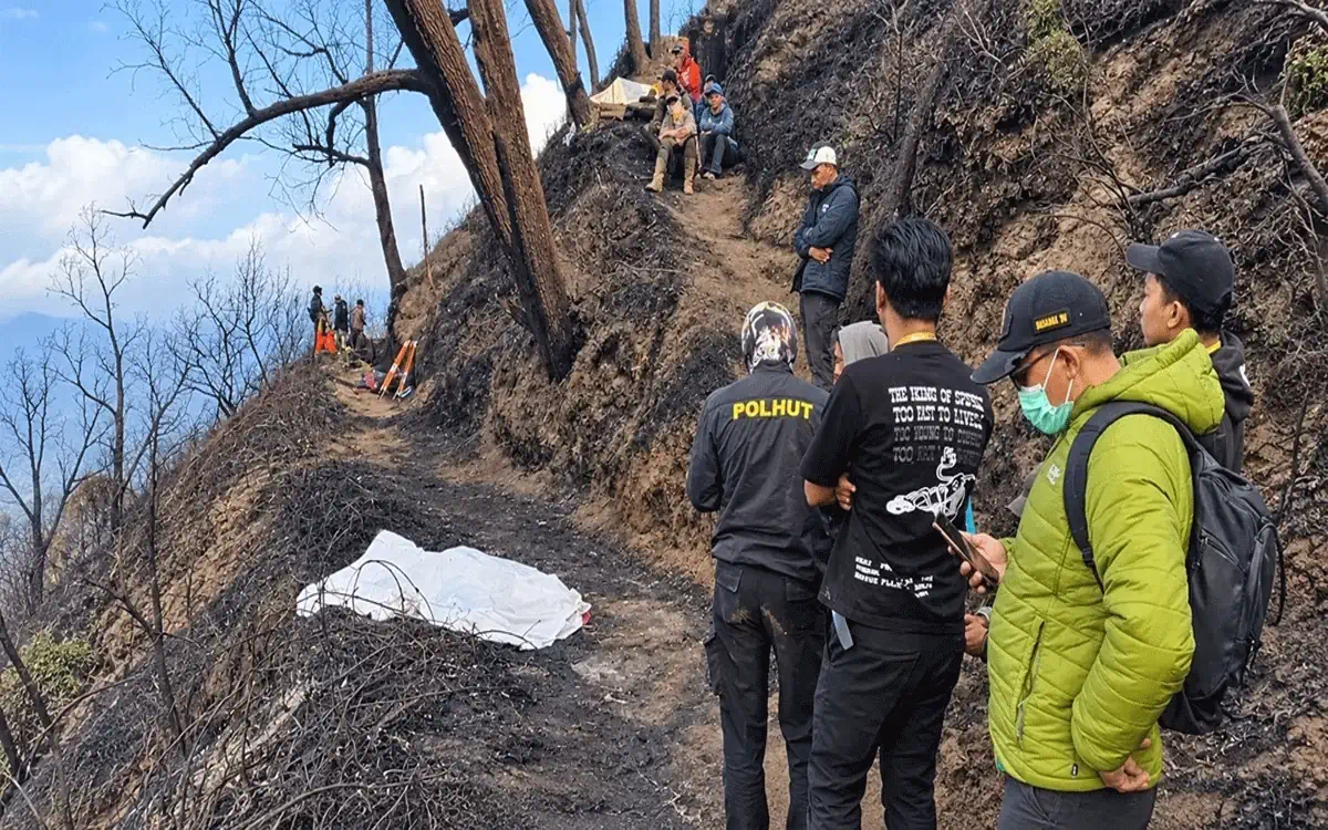 “TRAGEDI MENCEKAM DI BROMO! 4 Petugas Gugur Saat Berjuang Jinakkan Kobaran Api, Duka Mendalam Menyelimuti