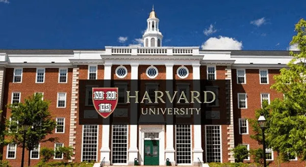 Harvard university school