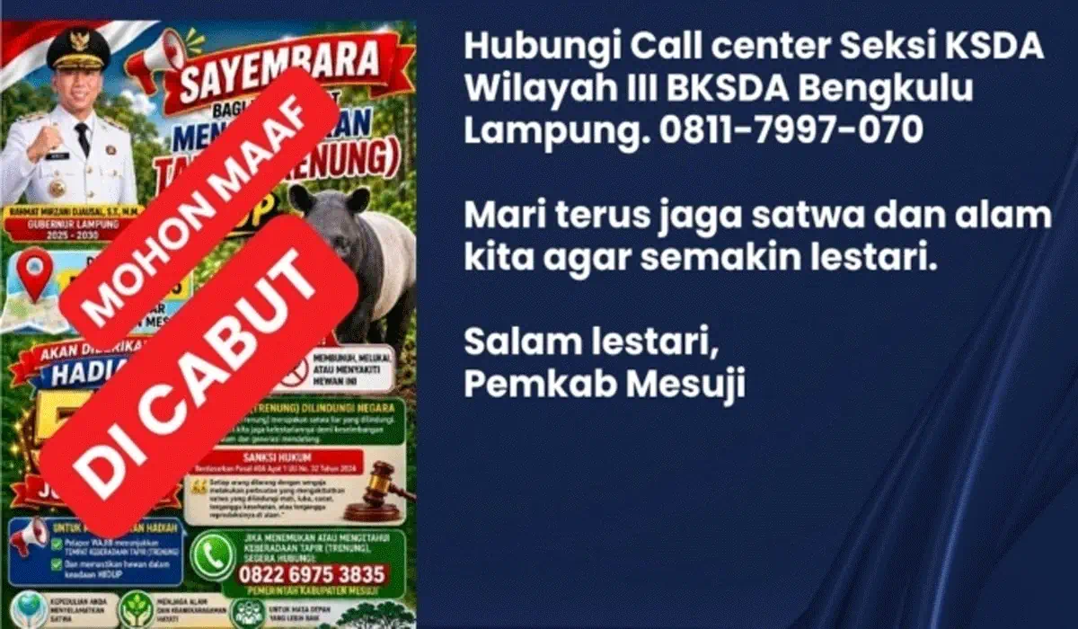 Batal Dapat Rp50 Juta! Sayembara Tangkap Tapir Mesuji Mendadak Dicabut, Ada Apa?