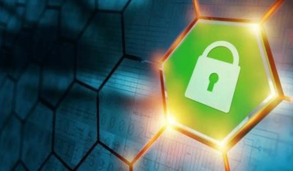 Gila! Kompetisi Ini Izinkan Mahasiswa Bongkar Kelemahan Sistem Digital
