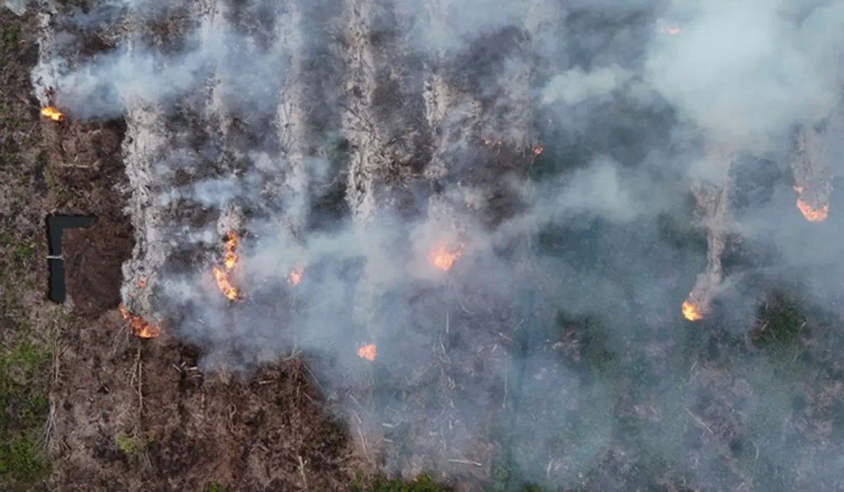 Gunung Gombak Ponorogo Terbakar! 15 Hektare Area Hijau Berubah Jadi Abu