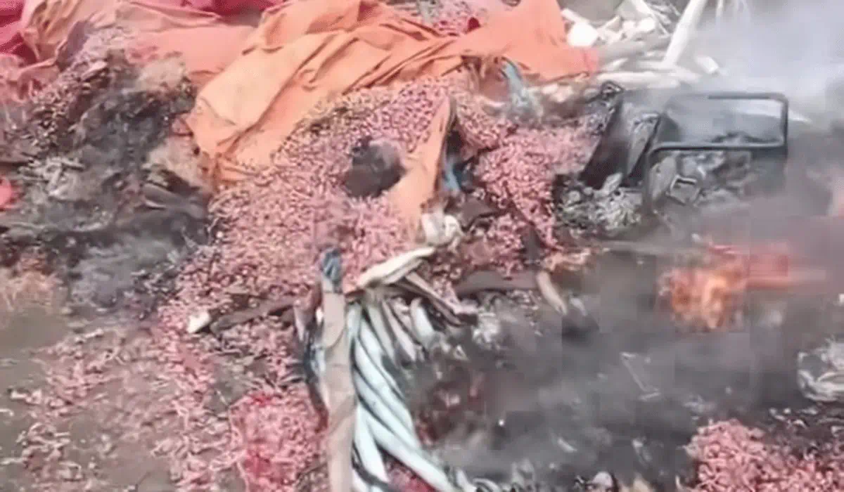 Isu Cabuli Anak Gegerkan Warga, Petani Bawang Jadi Sasaran Amukan hingga Panen Dibakar