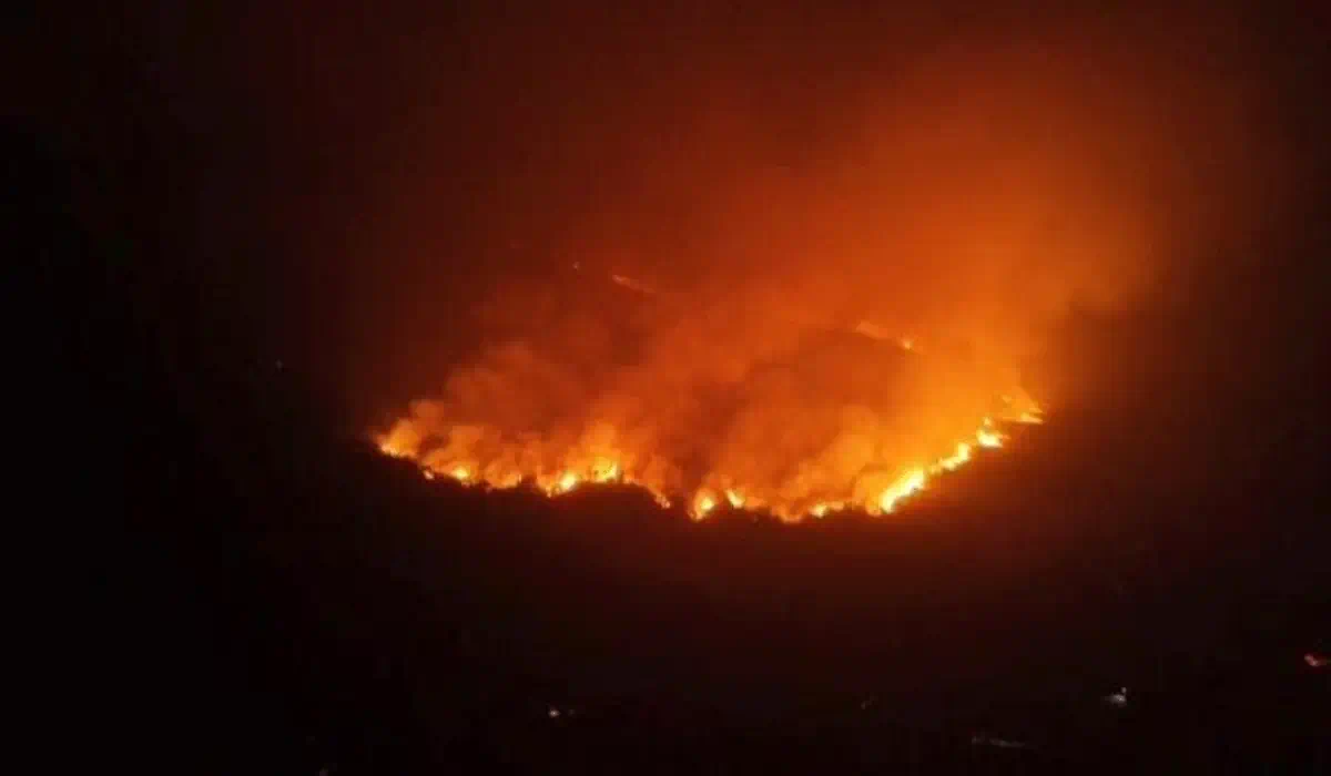 Mencekam! 300 Hektare Cagar Alam Gunung Lokon di Tomohon Dilalap Api