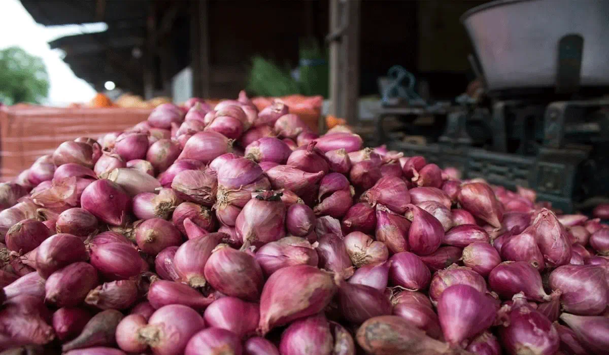 Rp700 Ribu Cuma dari Kupas Bawang? Pedagang Makassar Bereaksi Usai Pernyataan Prabowo