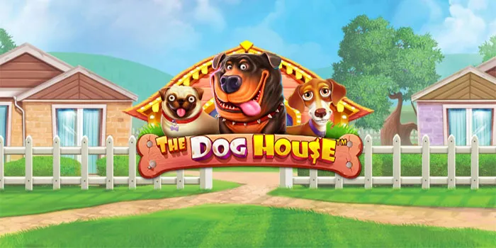 Secret Ways to Chase Bigger Rewards in The Dog House Slot