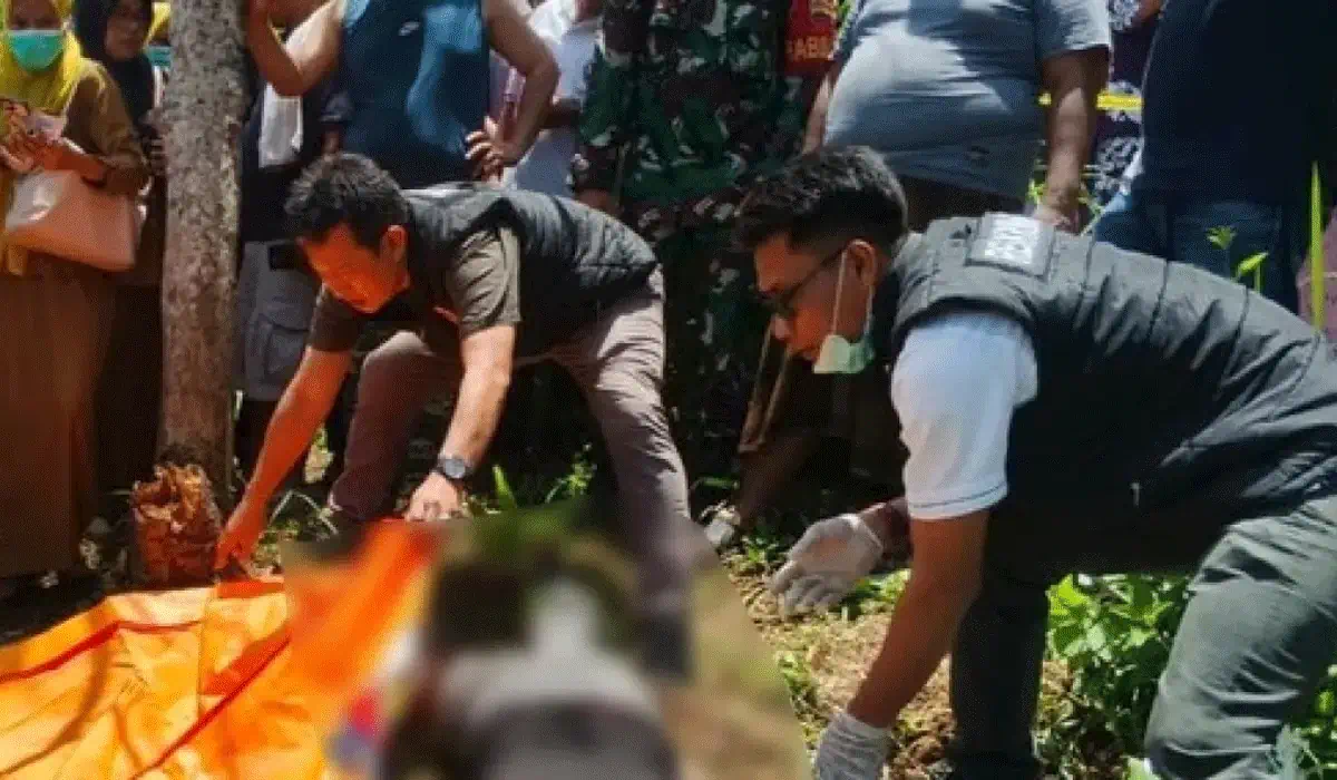 Terkuak! HP Misterius Jadi Kunci Kasus Pembunuhan Pedagang di Tapanuli Selatan