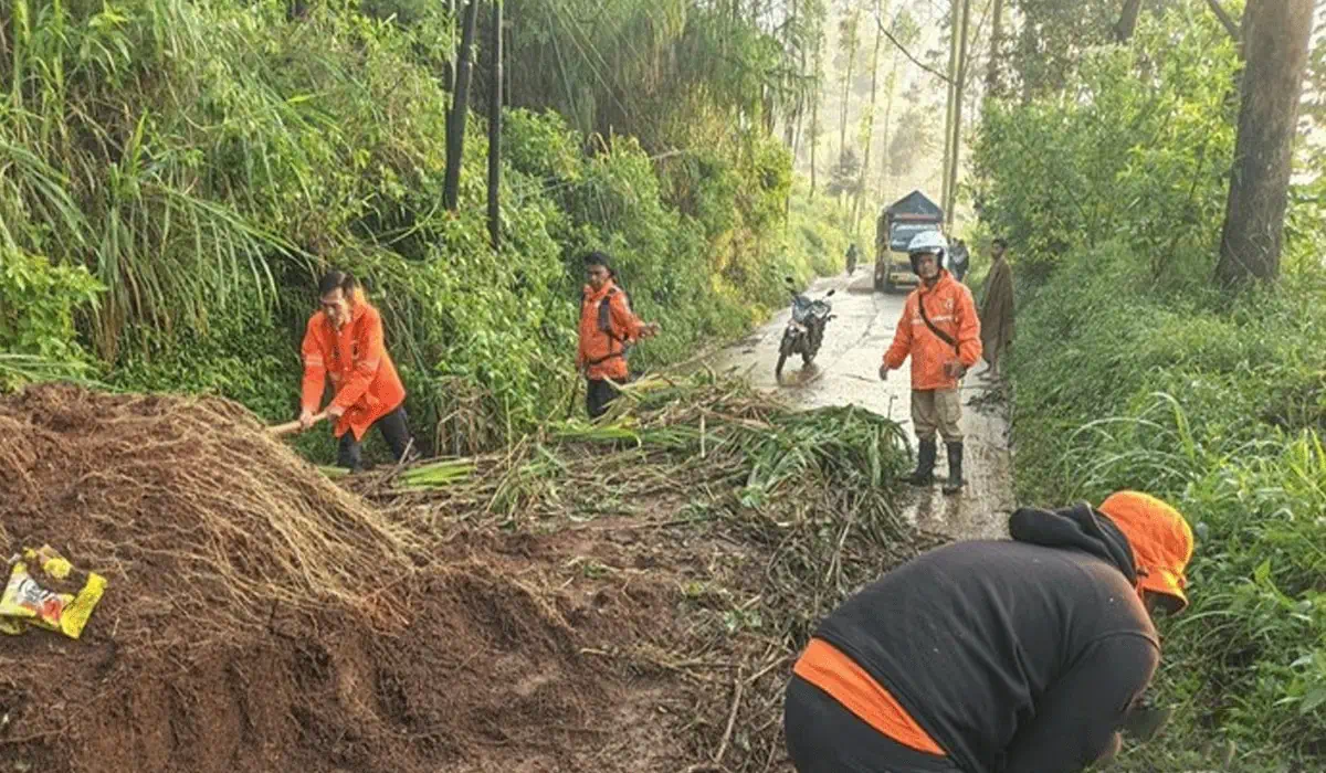 Tragedi di Kabupaten! Hujan Deras Picu Banjir dan Longsor, Warga Terjebak Panik