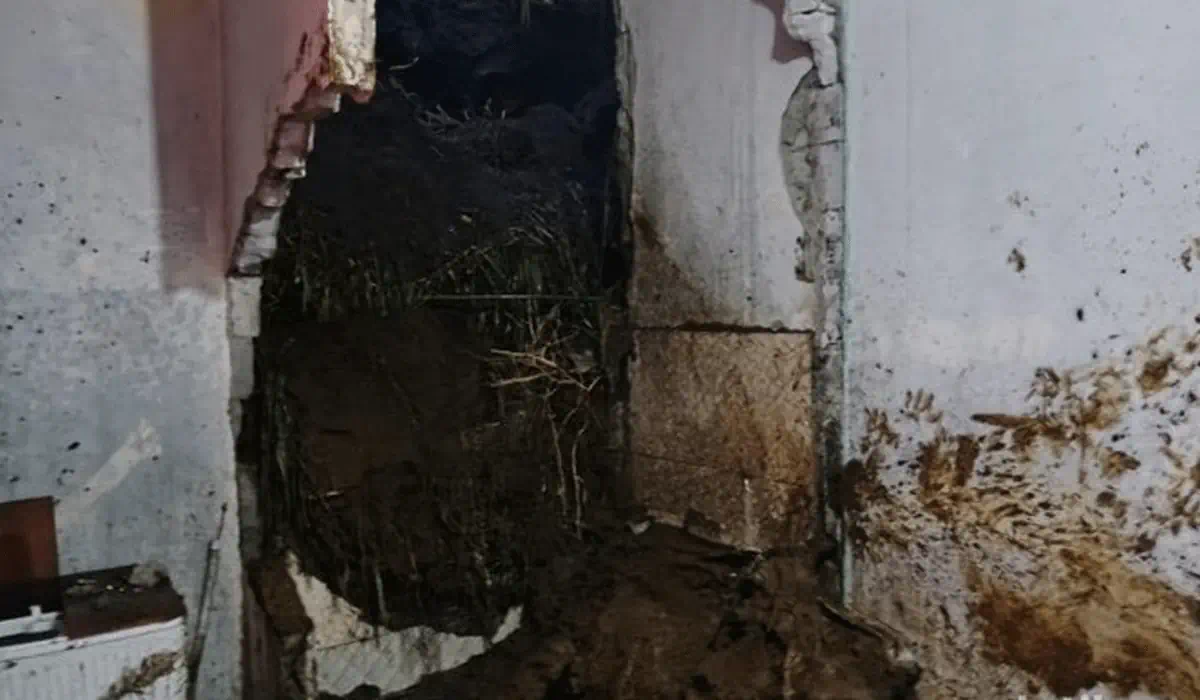 Tragedi Mengerikan di Sukabumi! Dua Rumah Tertimbun Longsor, Warga Tewas